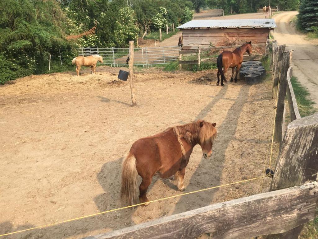 Grosse Wohnung / Haushaelfte In Peetzig Am See Angermunde Bagian luar foto